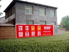 玉林如何让墙体广告展现最大化效果