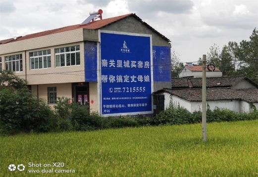 玉林决定墙体广告价格的因素有哪些?