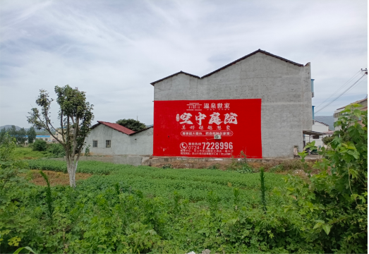 玉林做墙体广告的意义