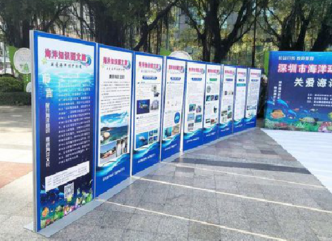 玉林KT板的种类和知识。